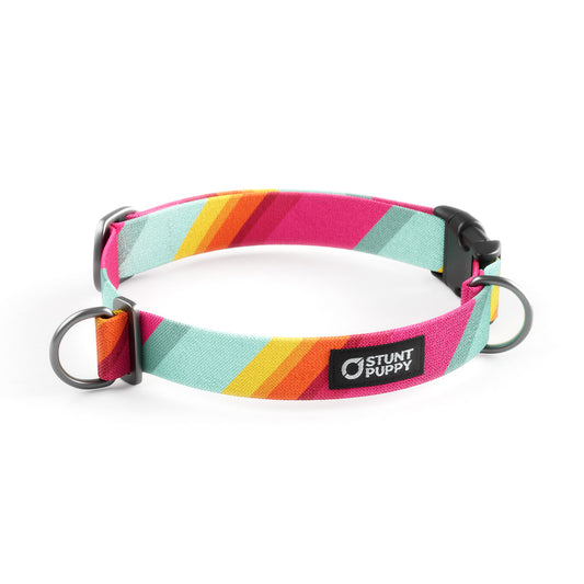 All Are Welcome Here Everyday Collar