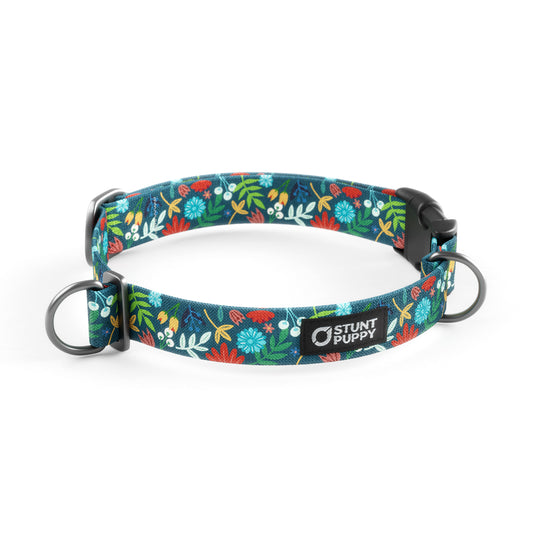 Frolic Fall Everyday Collar