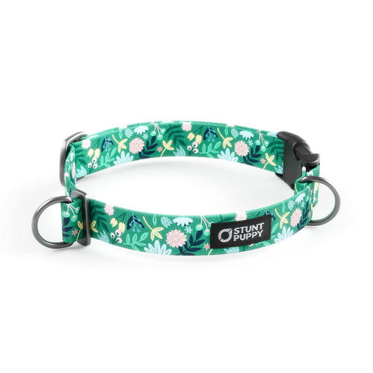 Frolic Spring Everyday Collar