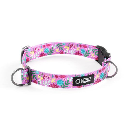 Frolic Summer Everyday Collar