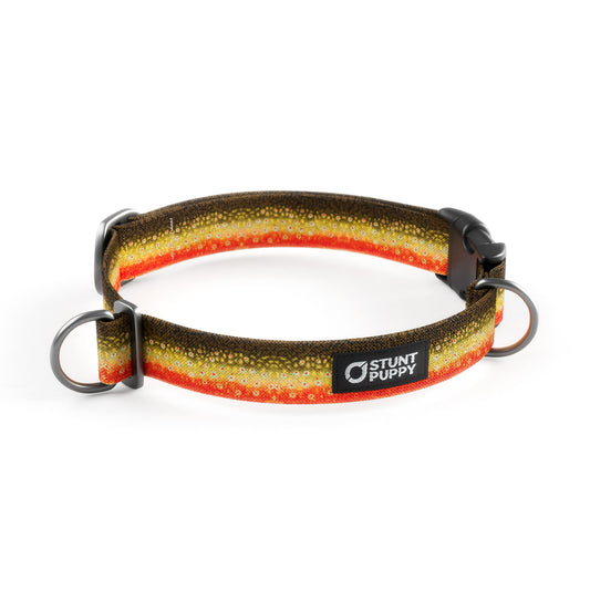 Brook Trout Everyday Collar