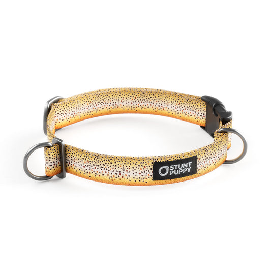 Brown Trout Everyday Collar
