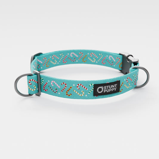 Candy Canes Aqua Everyday Collar