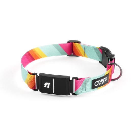 Fi-Ready All Are Welcome Here Everyday Collar