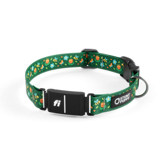 Fi-Ready Pollinator Collar