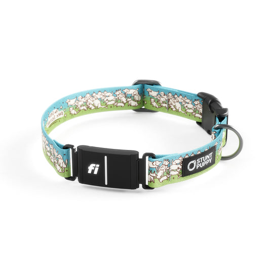 Fi-Ready Jill Kittock Great Bark Together Collar