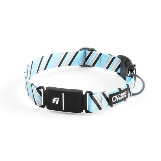Fi-Ready Loons Tie Collar
