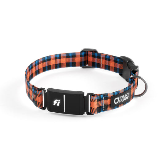 Fi-Ready Lumberpup Emily Collar