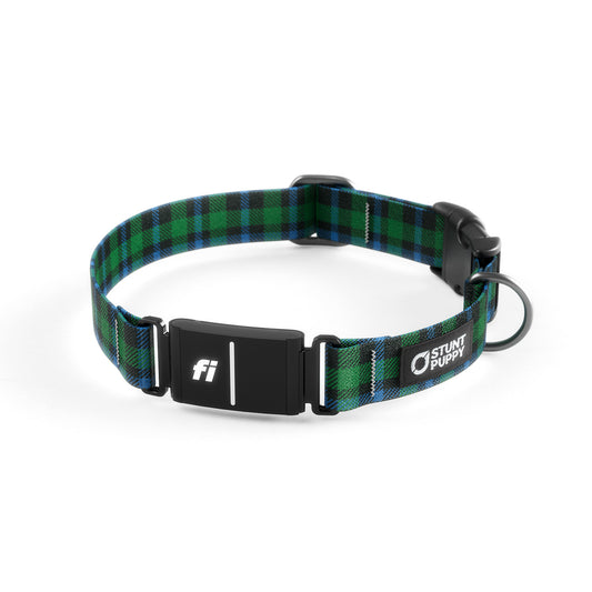 Fi-Ready Lumberpup Scotsman Collar