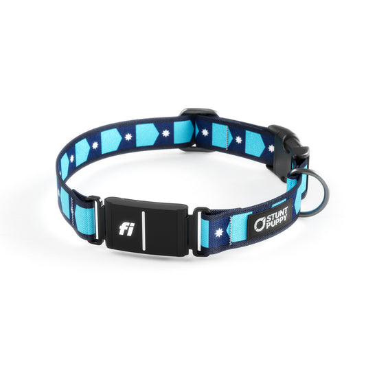 Fi-Ready Minnesota Flag Collar