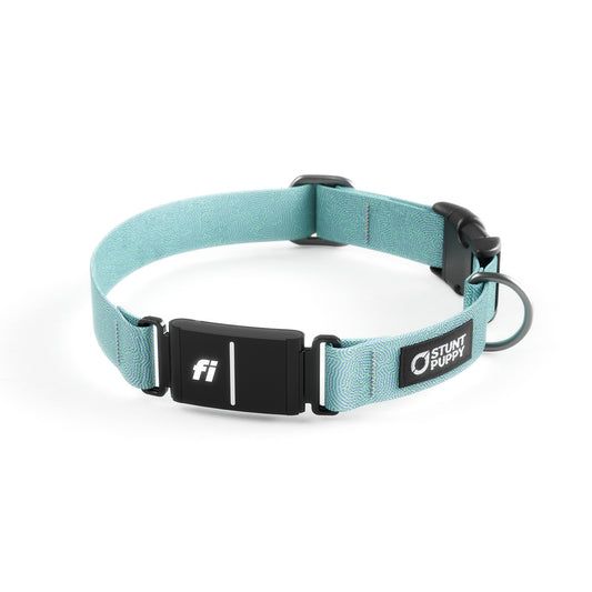 Fi-Ready Petri Cerulean Collar