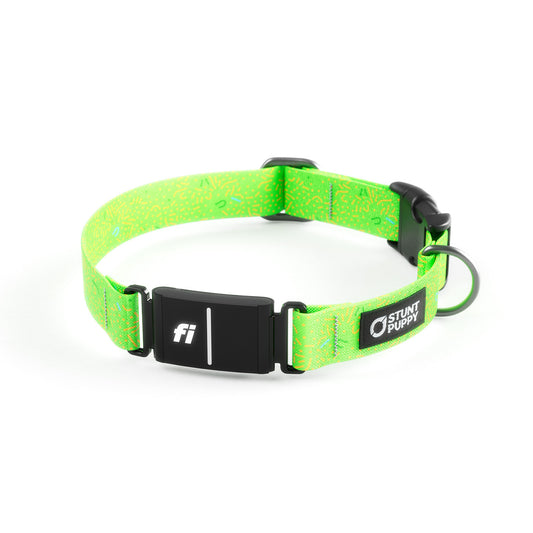 Fi-Ready Petri Chartreuse Collar