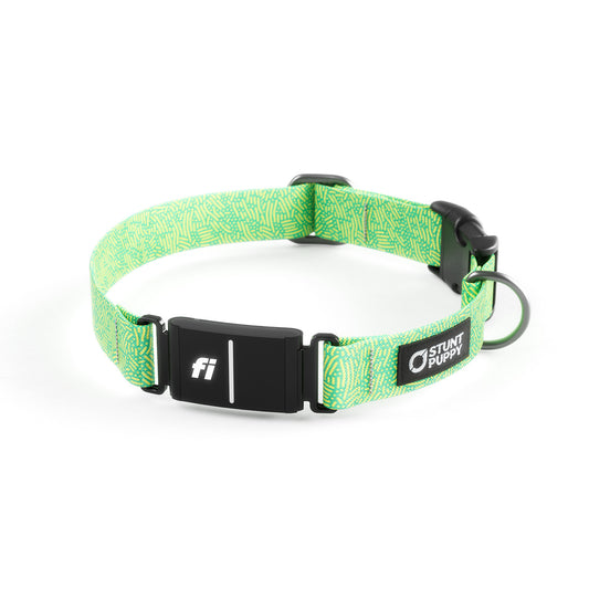 Fi-Ready Petri Lime Collar