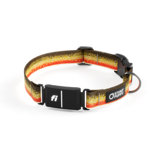 Fi-Ready Brook Trout Collar