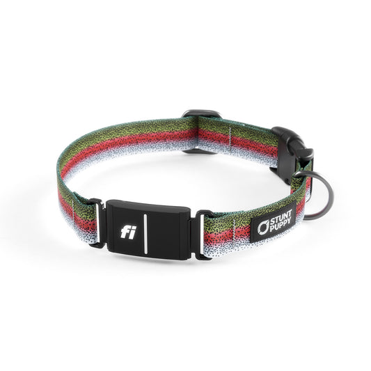Fi-Ready Rainbow Trout Collar