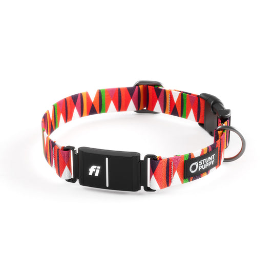 Fi-Ready Zebras Red Hot Collar