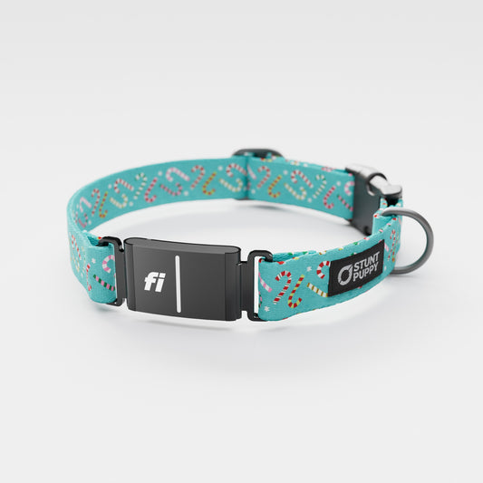 Fi GPS Included Candy Canes Aqua Everyday Collar (6 month subscription)