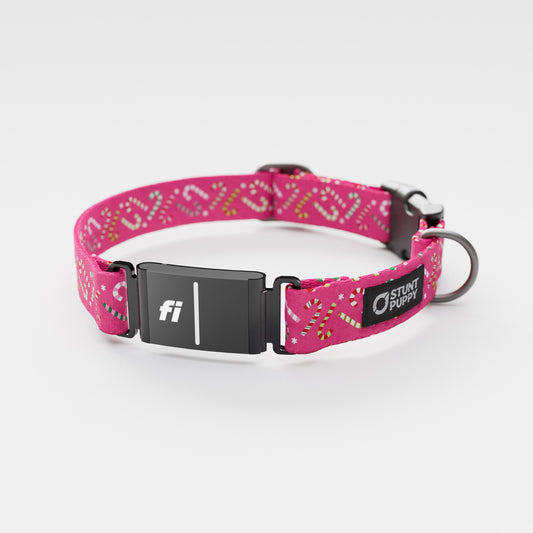 Fi GPS Included Candy Canes Pink Everyday Collar (6 month subscription)