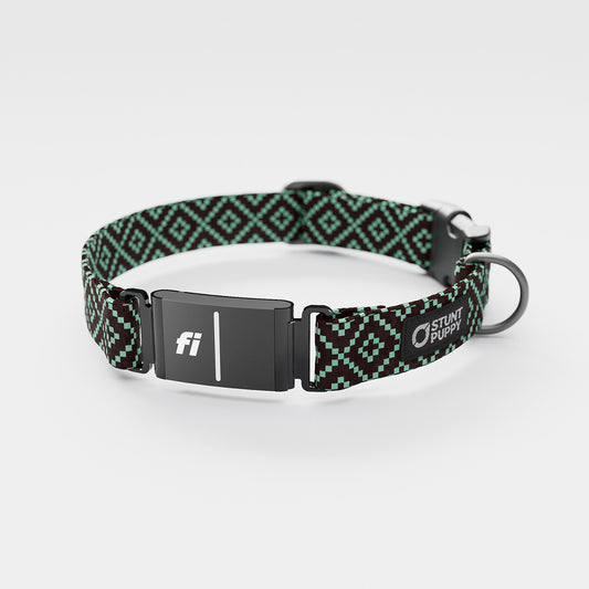 Fi-Ready Pixie Brown Teal Everyday Collar