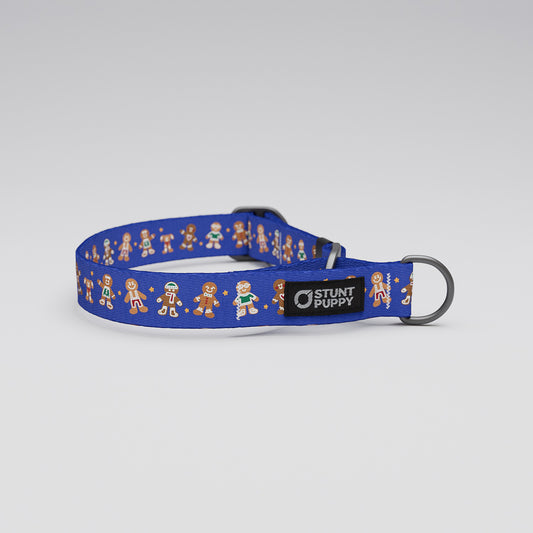 Martingale Limited-Slip Collar Gingerbread Blue