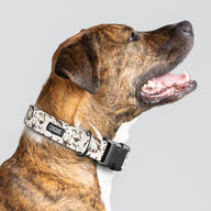Camo Desert Sand Everyday Collar — Large Wide