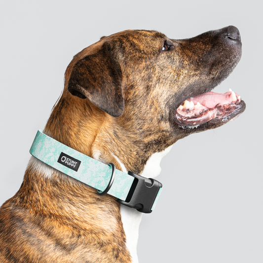 Camo Mint Everyday Collar — Large Wide