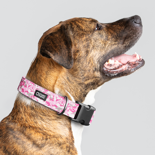 Camo Pink Everyday Collar — Large Wide