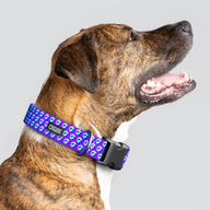Cubular Blue Everyday Collar — Large Wide