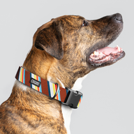 Dad's Tie Everyday Collar — Large Wide