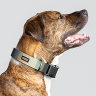Earthtone Rainbow Everyday Collar — Large Wide
