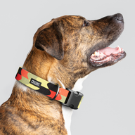 Flag Pirate Everyday Collar — Large Wide