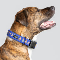 Gingerbread Blue Everyday Collar — Large Wide