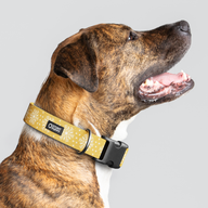 Holiday Gold Flake Everyday Collar — Large Wide