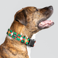 Holiday Quilt Everyday Collar — Large Wide