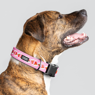 Santa Hats Pink Everyday Collar — Large Wide