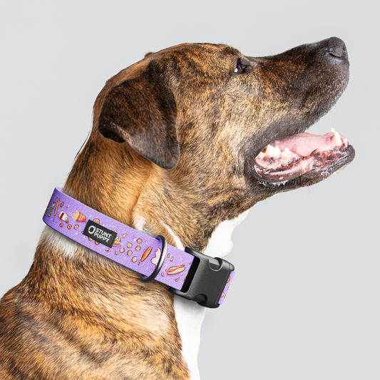 Jill Kittock Fair Food Everyday Collar