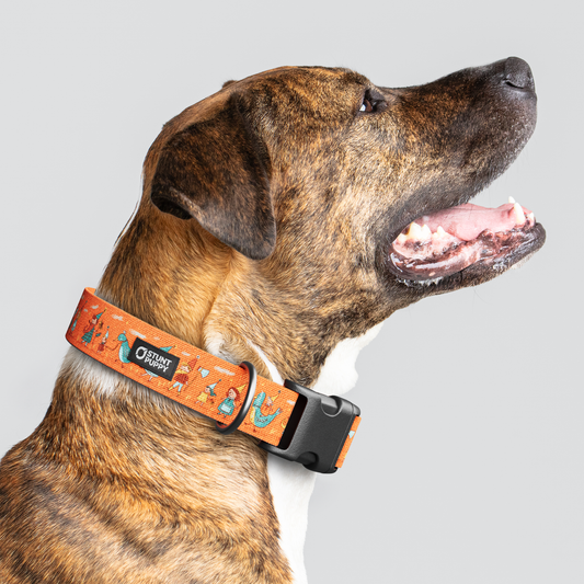 Jill Kittock Gnomes Everyday Collar — Large Wide