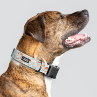 Jill Kittock Meats Everyday Collar — Large Wide