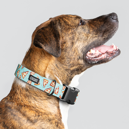 Jill Kittock Pizza Everyday Collar