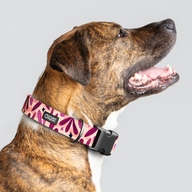 Leaves Fall Everyday Collar — Large Wide