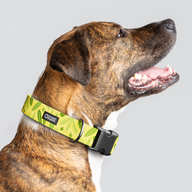 Leaves Summer Everyday Collar — Large Wide