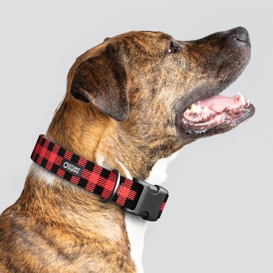 Lumberpup™ Buffalo Everyday Collar — Large Wide