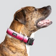 Pines Pink Everyday Collar — Large Wide