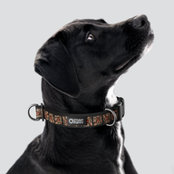 Black Lives Matter Everyday Collar — Large