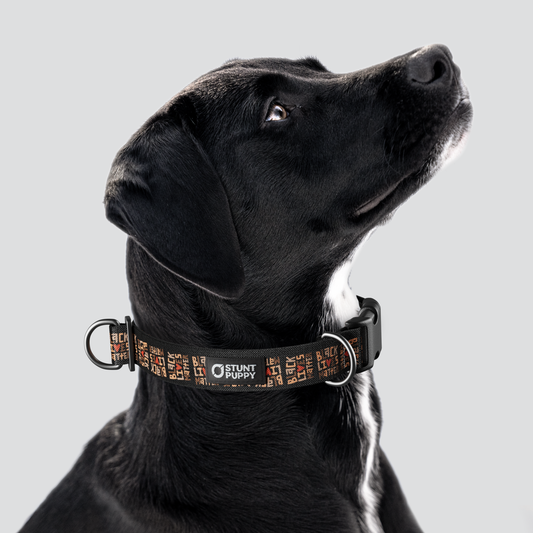 Black Lives Matter Everyday Collar