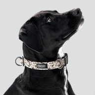 Camo Desert Sand Everyday Collar — Large
