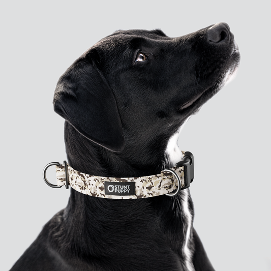 Camo Desert Sand Everyday Collar — Large
