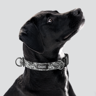 Camo Grey Everyday Collar — Large