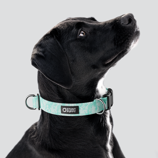 Camo Mint Everyday Collar — Large
