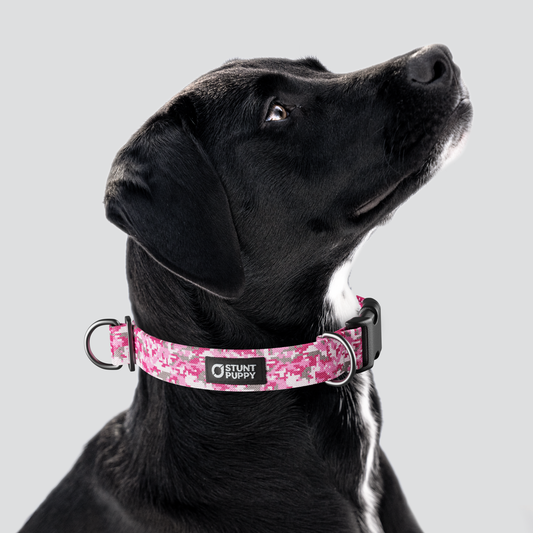 Camo Pink Everyday Collar
